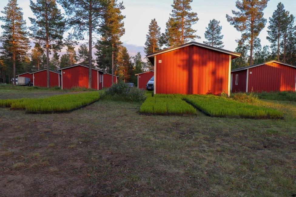 Pajala Cottages Route 99 Bagian luar foto